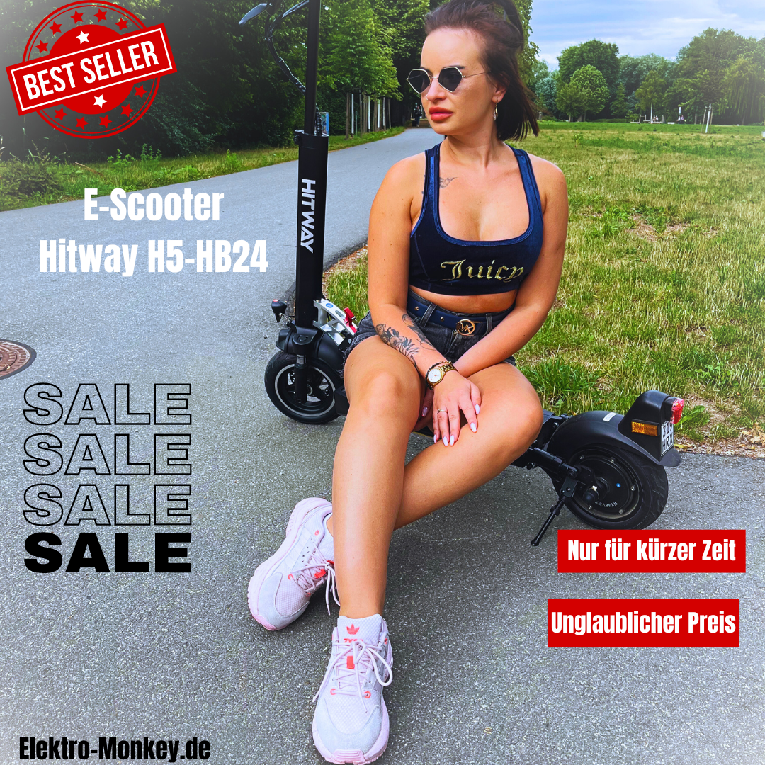 E-Scooter Hitway H5-HB24 10" 480W mit ABE
